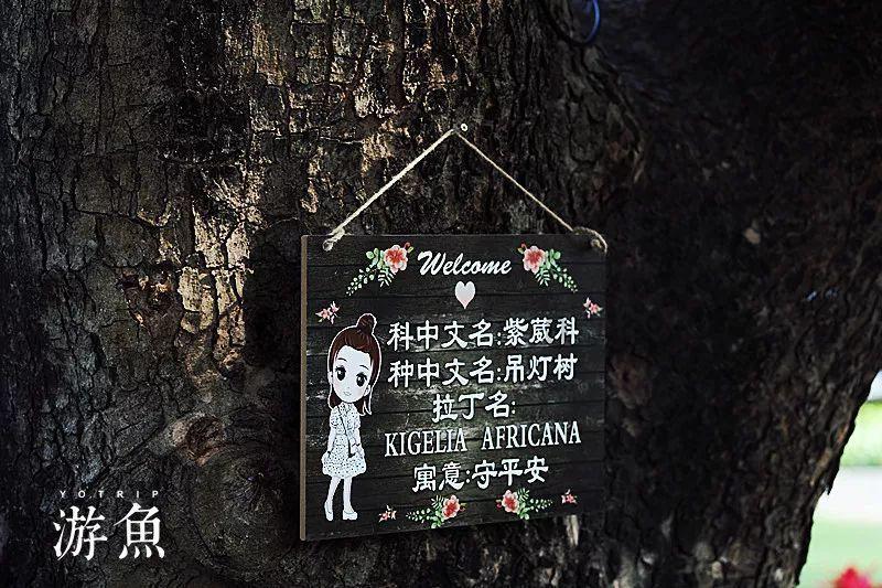超级冰火人冒险2